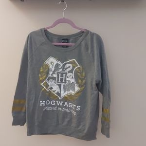 Plus size Hogwarts Wizard in Training Sweatshirt